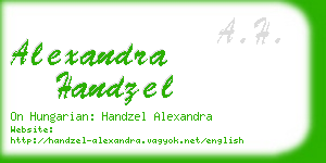 alexandra handzel business card